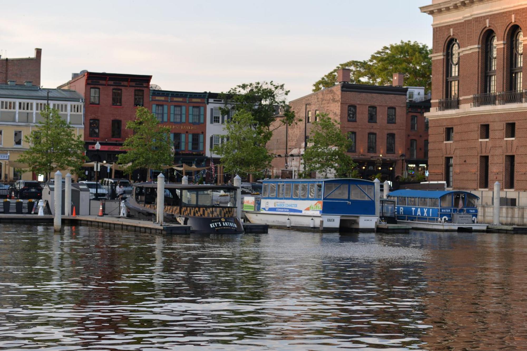 Pristine Townhouse With Rooftop Deck Near Canton! Baltimore Bagian luar foto